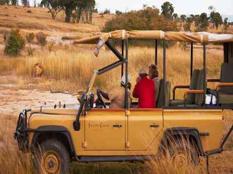 Authentic Safari & Beach Escape